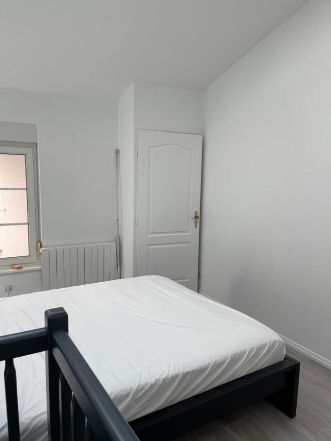 Nancy Hypercentre 34 Rue Des Dominicains ! Apartment Bagian luar foto