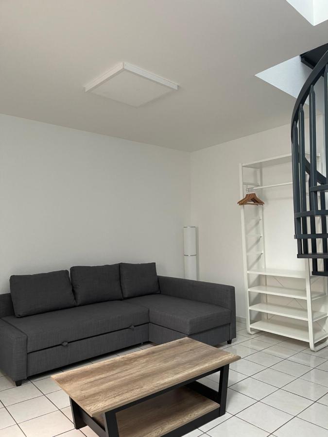 Nancy Hypercentre 34 Rue Des Dominicains ! Apartment Bagian luar foto