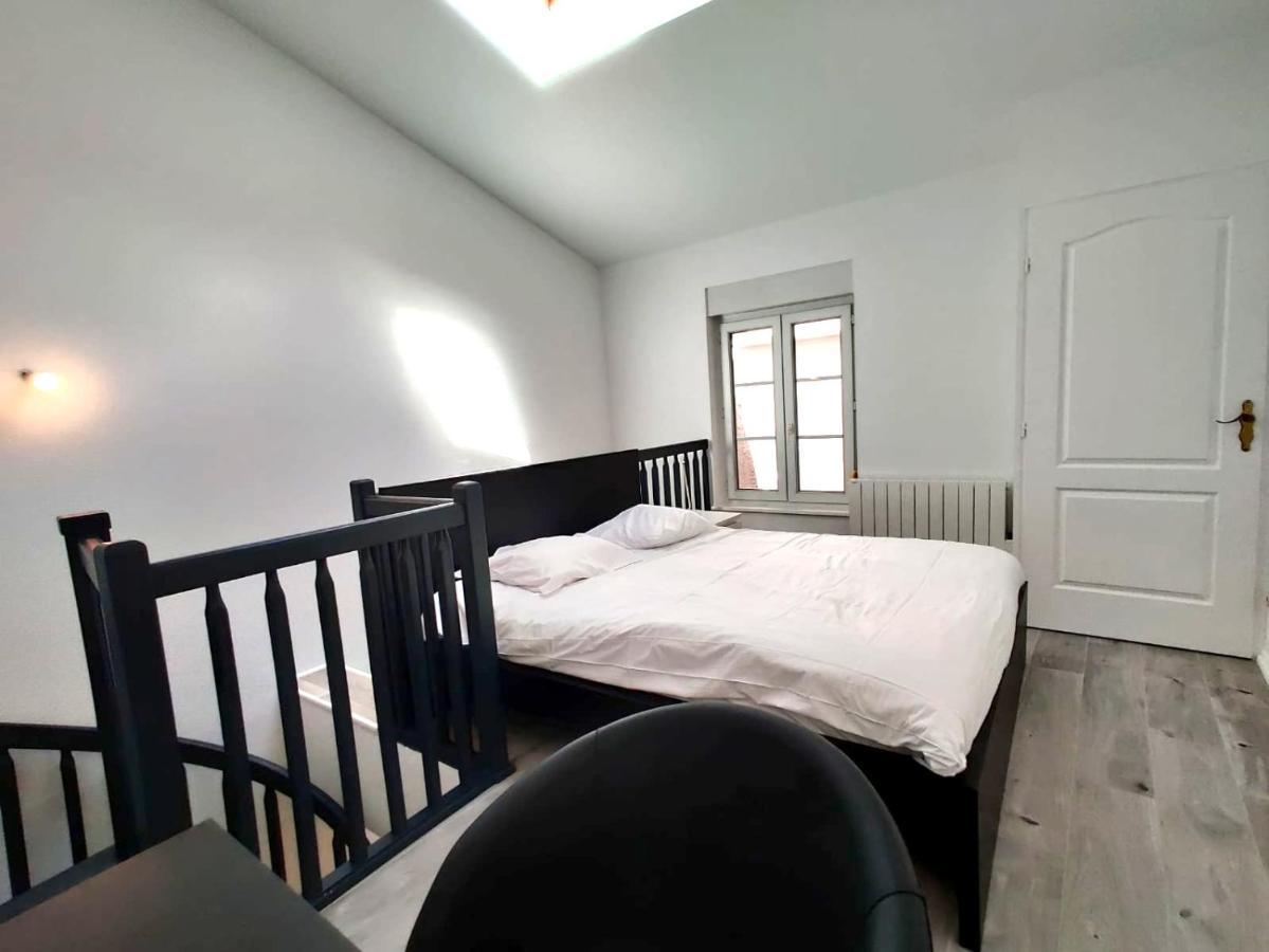 Nancy Hypercentre 34 Rue Des Dominicains ! Apartment Bagian luar foto